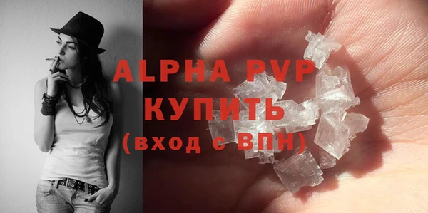 стаф Инсар