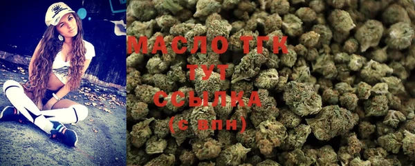 стаф Инсар