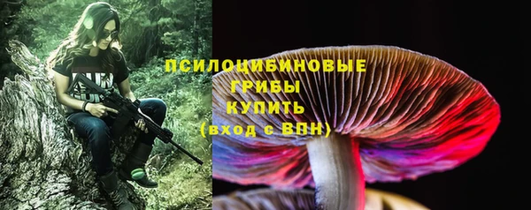 стаф Инсар